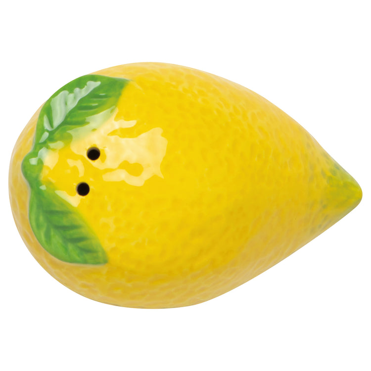 Citrus Burst Salt and Pepper Shakers