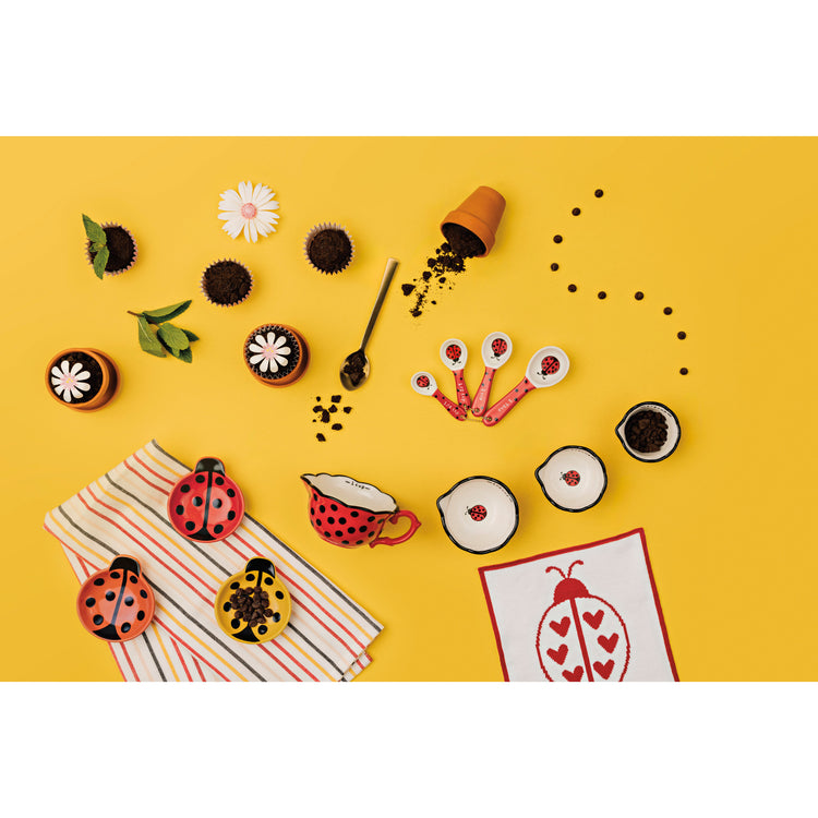 Ladybugs Measuring Spoons Set of 4