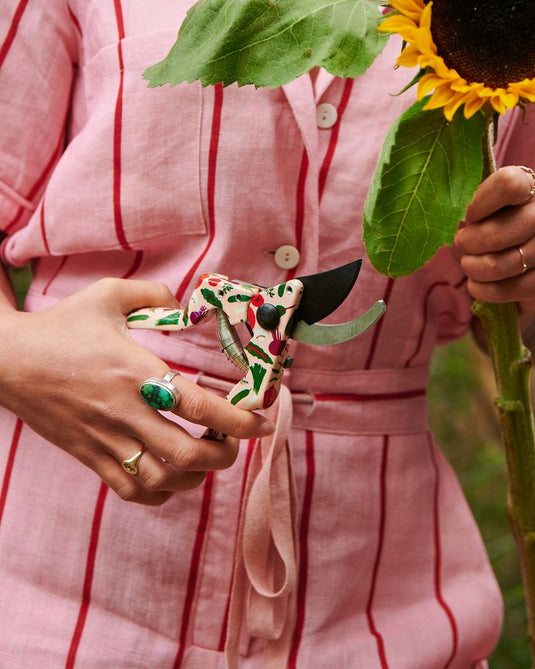 Plant & Play