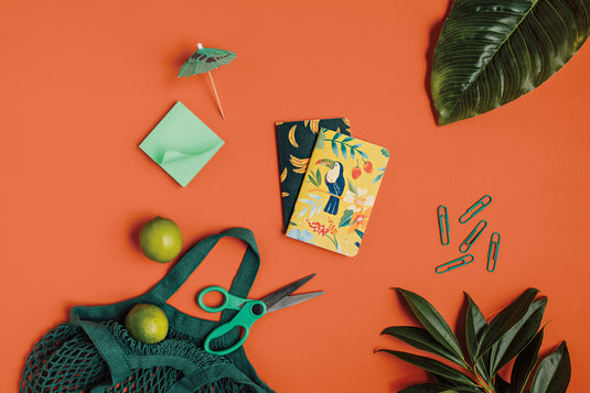 Scribble Pocket Notebook Sets