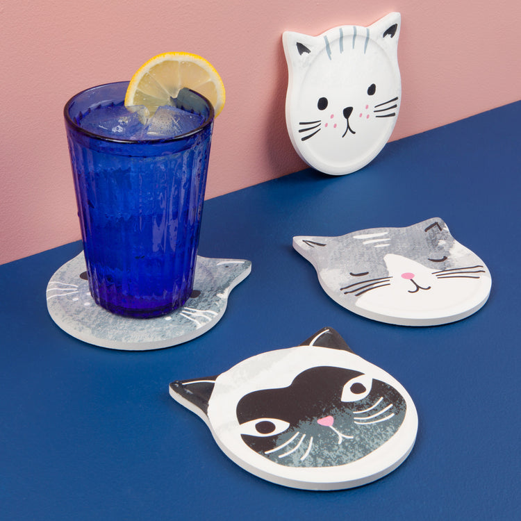 Cats Meow Soak Up Coasters Set of 4
