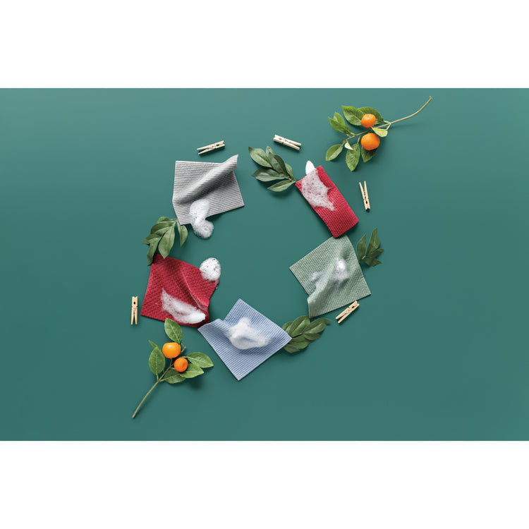 Carmine Swedish Sponge Cloths Set of 2
