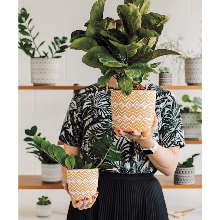 Saffron Spark Plant Pot Large 6 inch