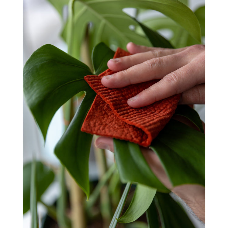 Rust and Sky Blue Dishcloths Set of 2