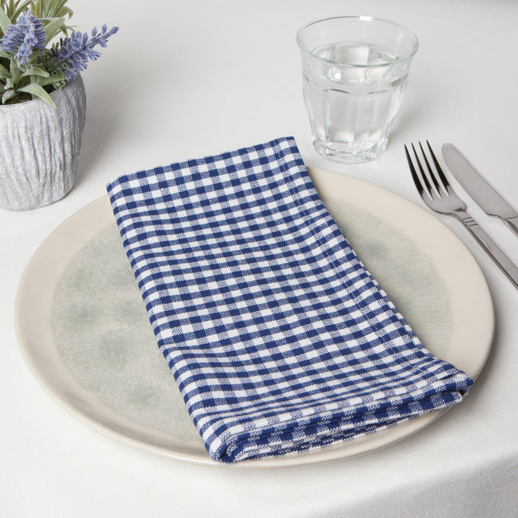 Second Spin Blue Gingham Napkins Set of 4