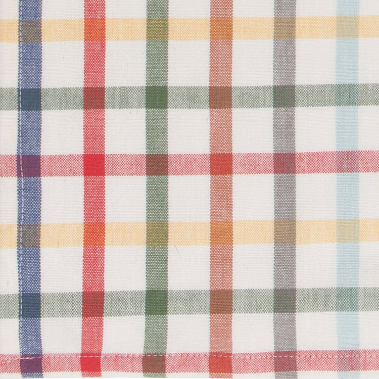 Out and About Cotton Dishtowels Set of 2
