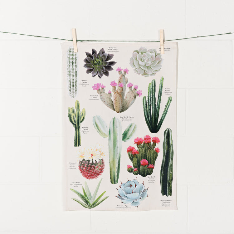 Botanical Cotton Dishtowel