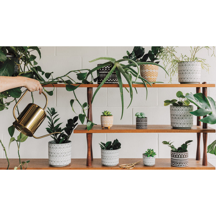 Brown Spark Spark Plant Pot Medium 4.25 inch