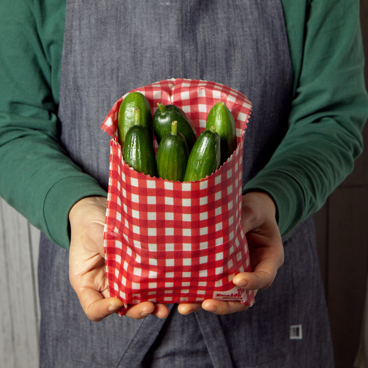 Gingham Dot Beeswax Sandwich Bag Set of 2