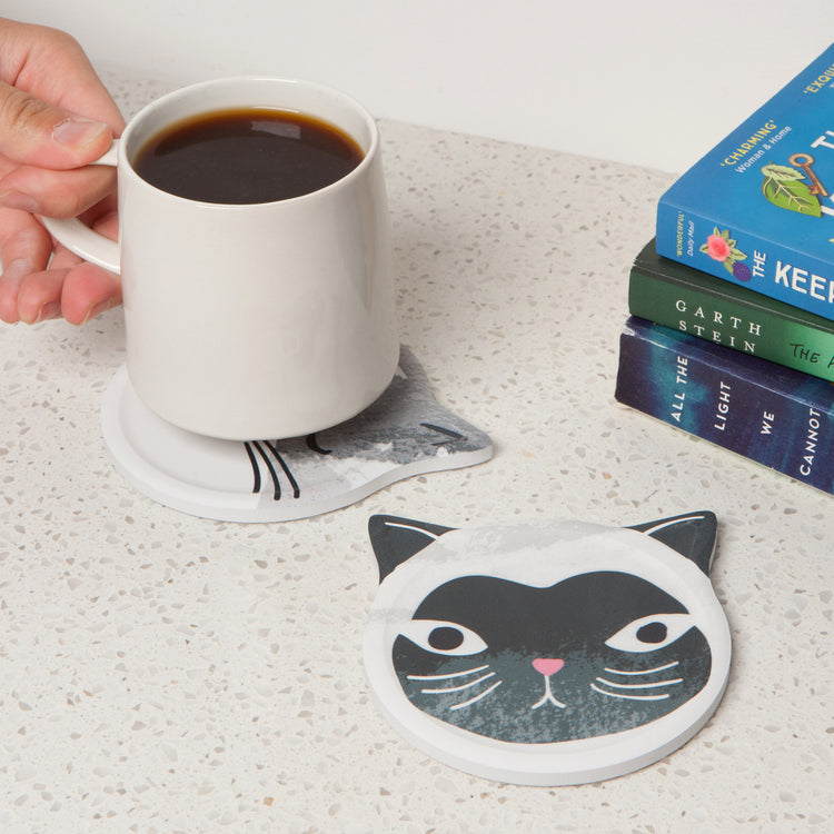 Cats Meow Soak Up Coasters Set of 4