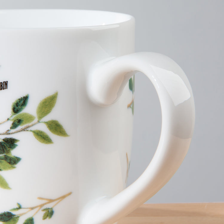 Birdsong Mug 12 oz