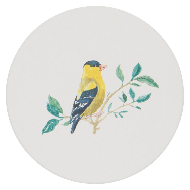 Birdsong Soak Up Coasters Set of 4