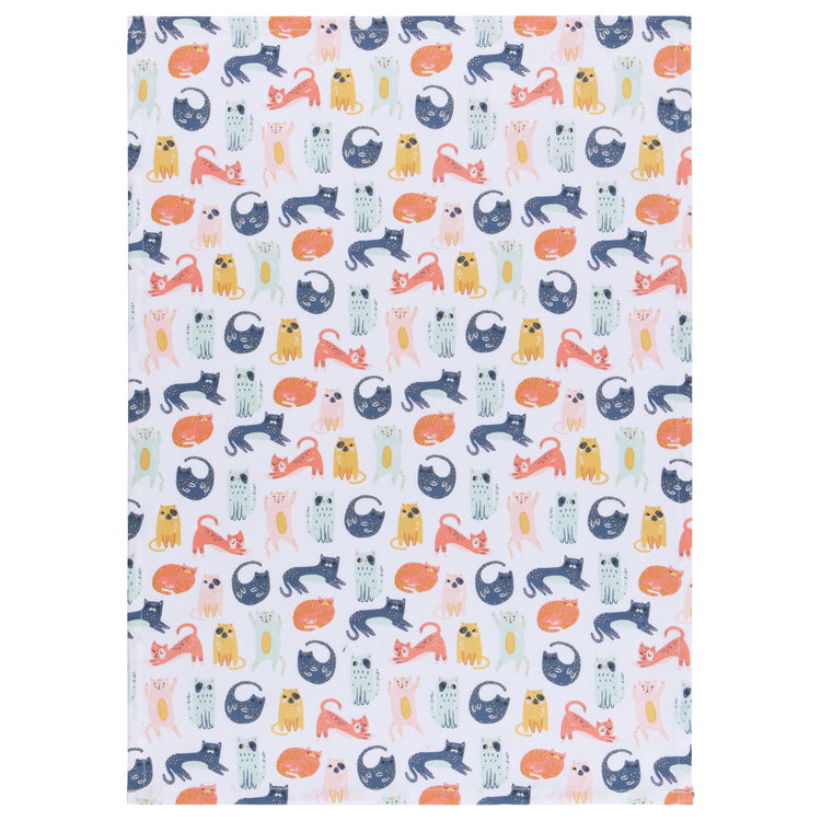Cats Dishtowels Set of 20 with Counter Display Unit