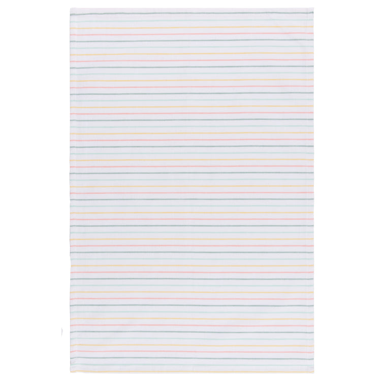 Bees & Butterflies Dishtowel Counter Display - 20 Assorted