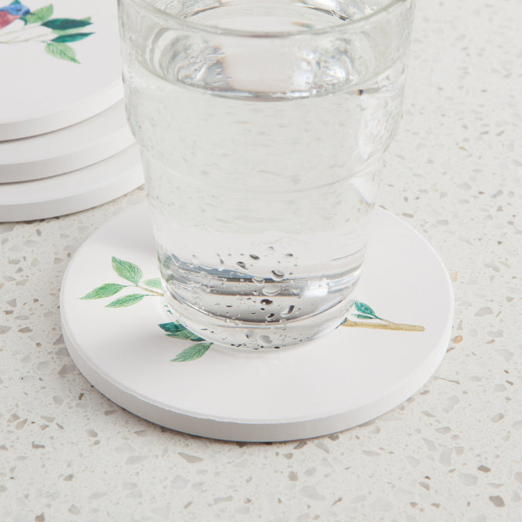 Birdsong Soak Up Coasters Set of 4