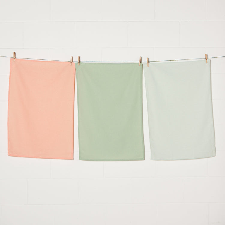 Dawn Eucalyptus Mist Floursack Dishtowels Set of 3