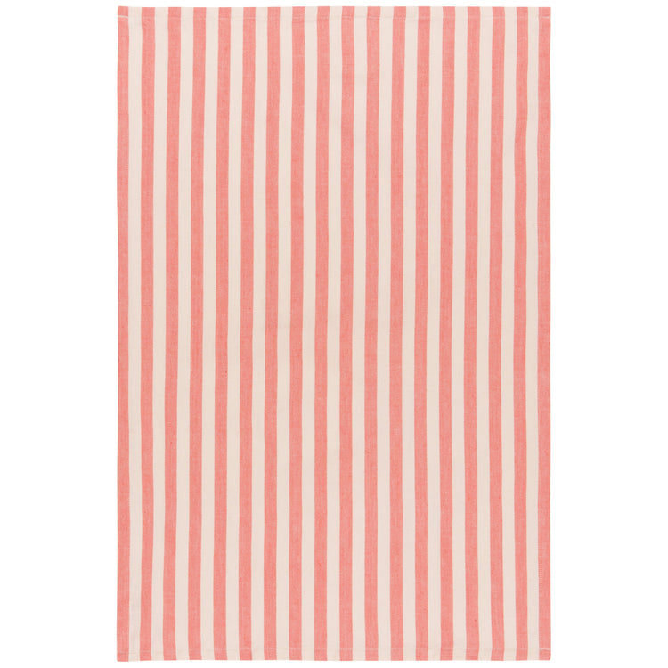 Watermelon Coordinated Dishtowels Set of 2