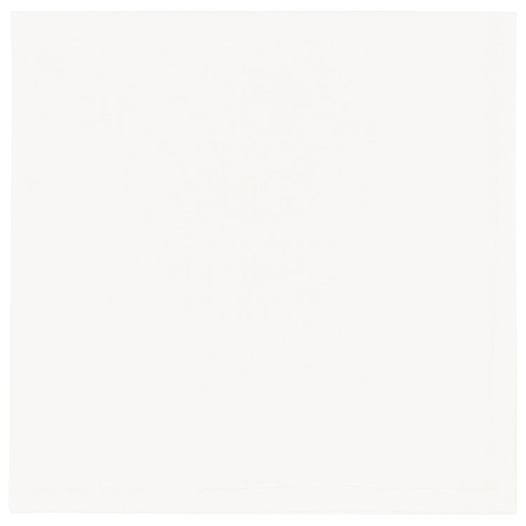 Spectrum Napkins White Set of 4