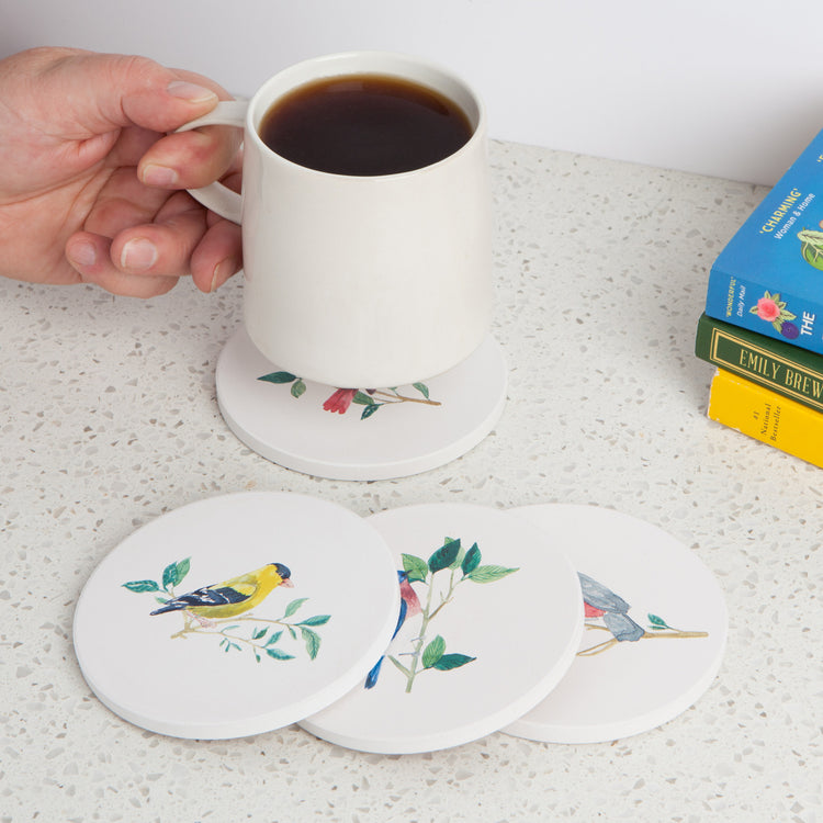 Birdsong Soak Up Coasters Set of 4