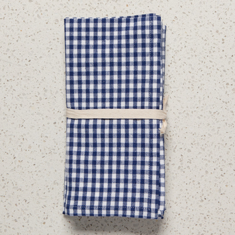 Second Spin Blue Gingham Napkins Set of 4