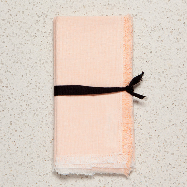 Nectar Chambray Napkins Set of 4
