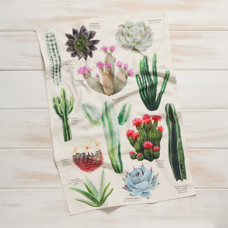 Botanical Cotton Dishtowel