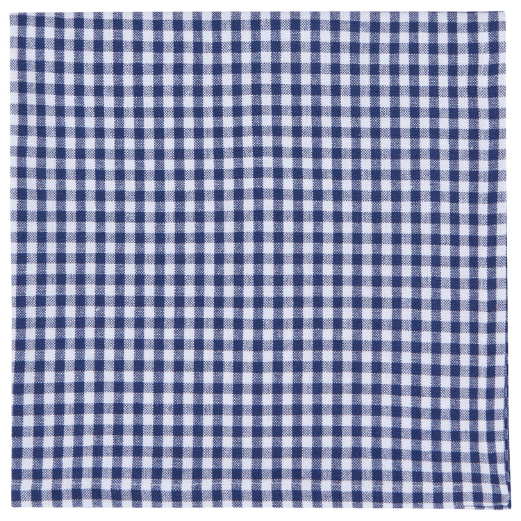 Second Spin Blue Gingham Napkins Set of 4