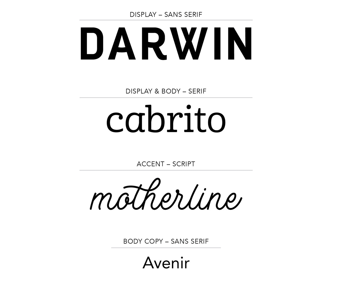 Danica Brand Guidelines
