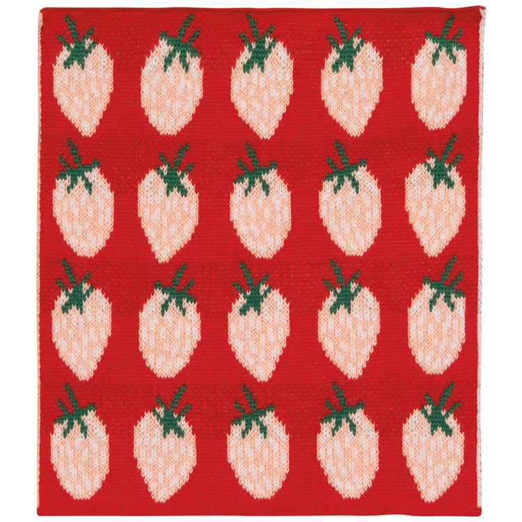 Berry Sweet Knit Dishcloth Set of 3