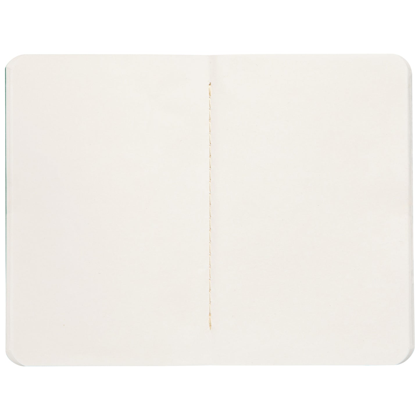 Ribbit Pocket Notebooks Set of 2