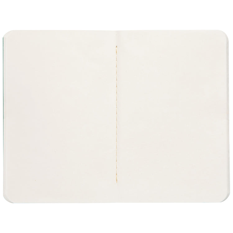 Ribbit Pocket Notebooks Set of 2