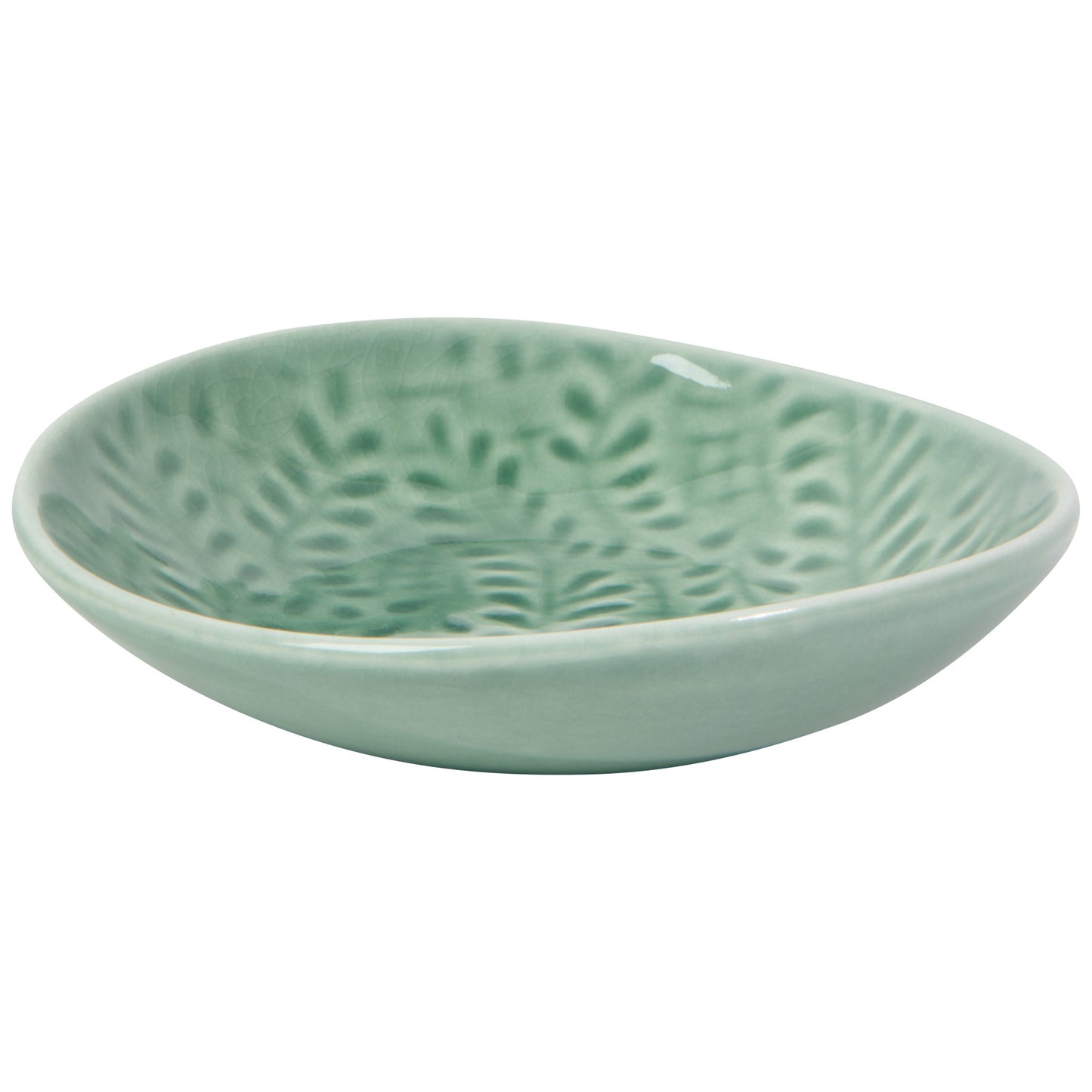 Opus Dish - Spruce