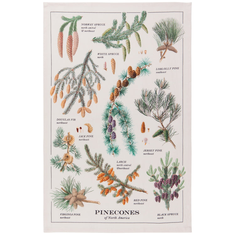 Pinecones Printed Cotton Dishtowel