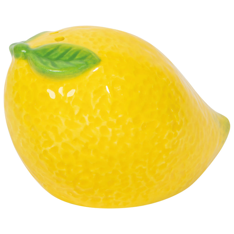 Citrus Burst Salt and Pepper Shakers