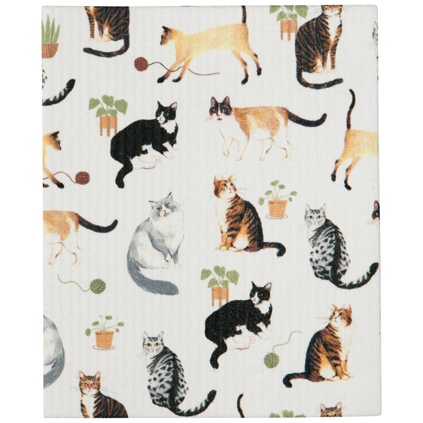 Countryside Eco Dishcloth Roll Counter Display - 12 assorted