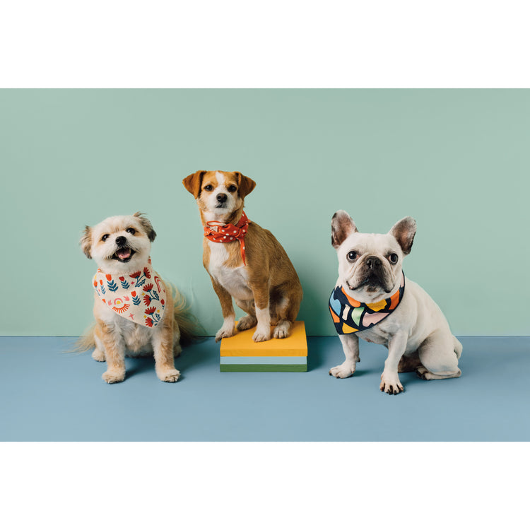 Be Here Now Dog Bandana Set of 2