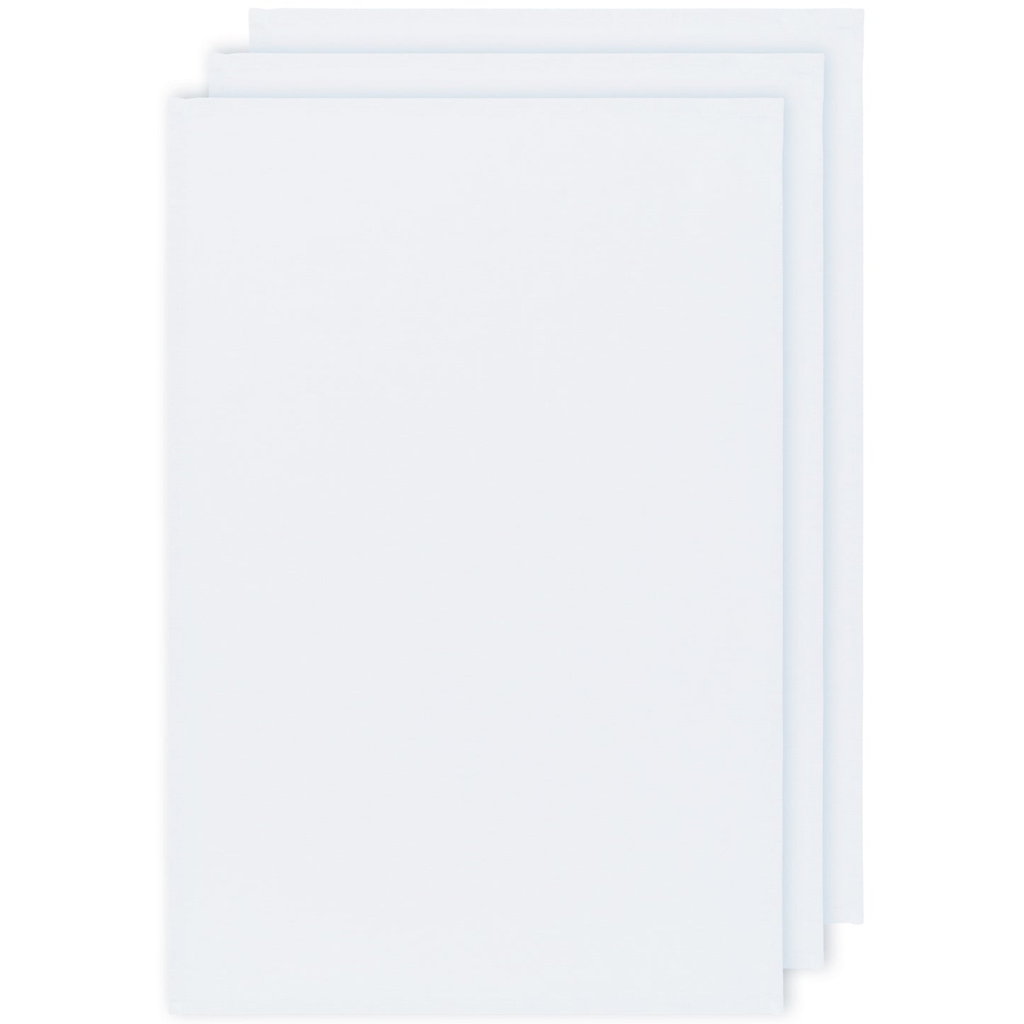 White Floursack Dishtowels Set of 3