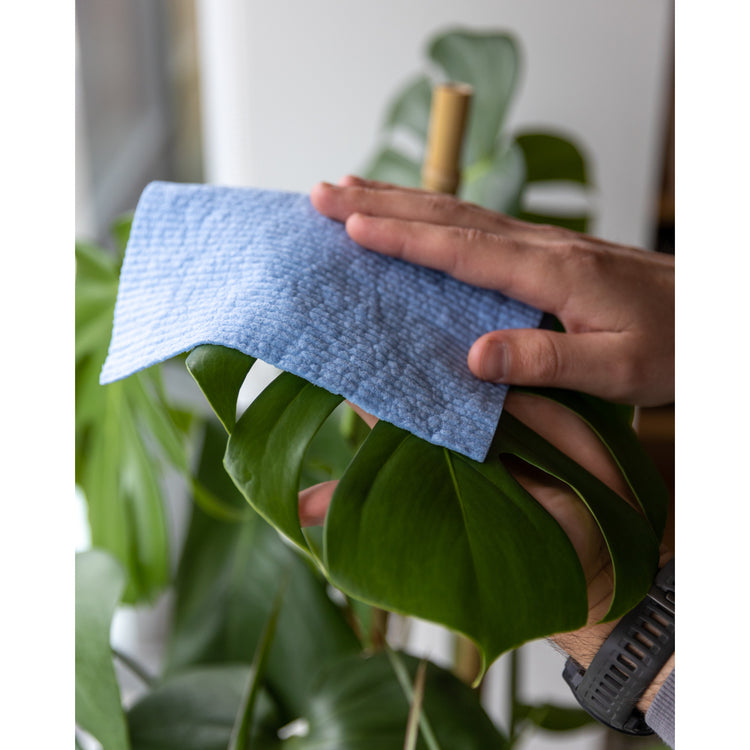 Rust and Sky Blue Dishcloths Set of 2