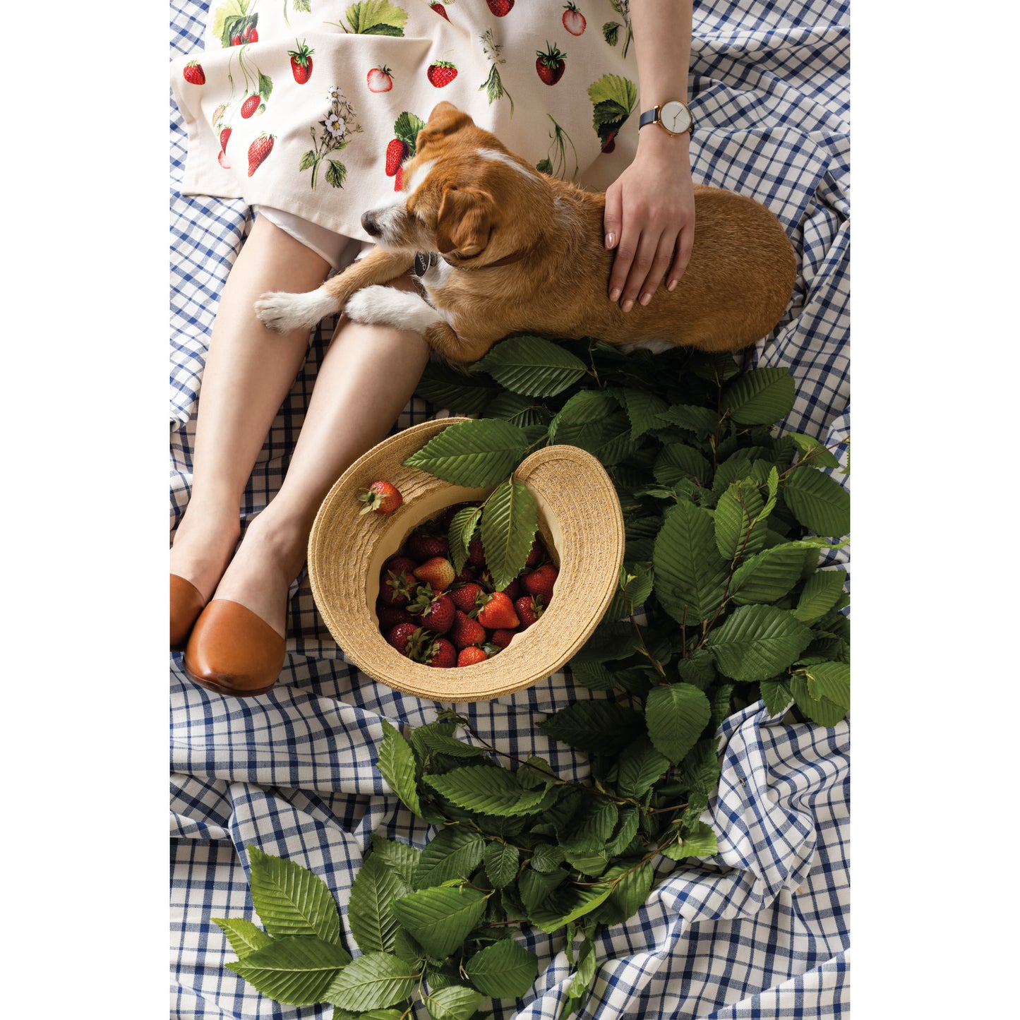 Strawberries Vintage Apron