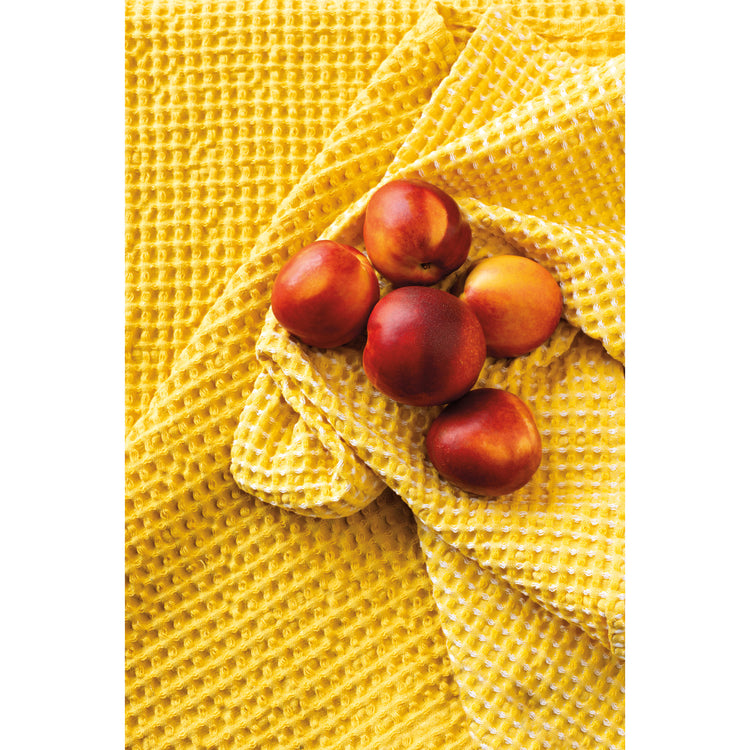 Second Spin Yellow Waffle Dishtowel Set of 2